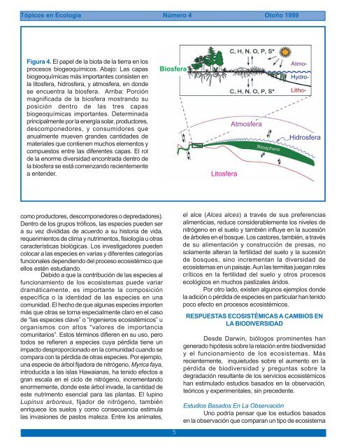 La Biodiversidad Y El Funcionamiento De Los Ecosistemas