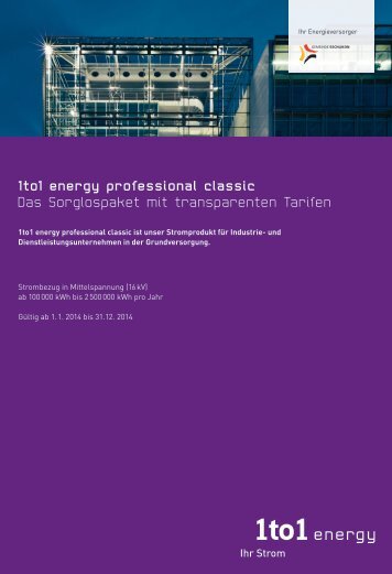 Industriebetriebe, 1to1 energy professional classic, Strombezug in ...