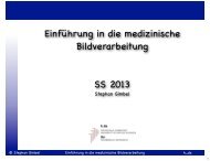 Einführung in die medizinische Bildverarbeitung SS 2013