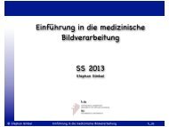 Einführung in die medizinische Bildverarbeitung SS 2013