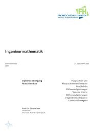 Ingenieurmathematik