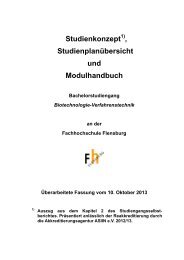 Modulhandbuch als pdf - Fachhochschule Flensburg
