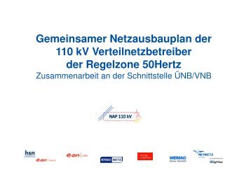 Schulze_NAP110kV_RZ_50Hz.pdf - Forum Netzintegration Erneuerbare ...