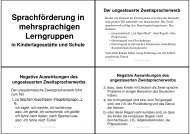 Die Pluralbildung im Deutschen