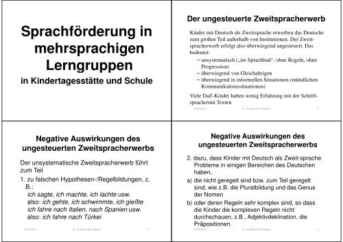 Die Pluralbildung im Deutschen