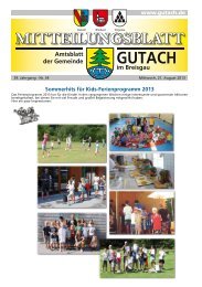 Gutach KW 34 ID 70110 - bei der Gemeinde Gutach im Breisgau