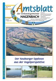 31/2013 - Stadt Hagenbach