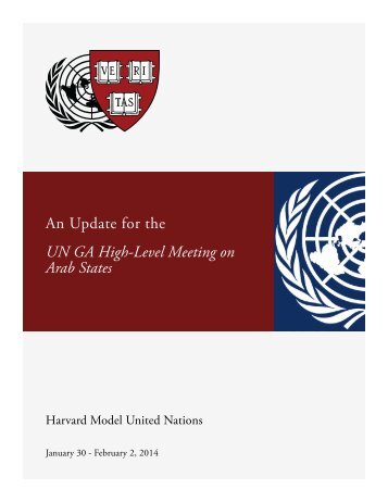 An Update for the UN GA High-Level Meeting on Arab States