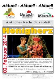 Mitteilungsblatt 30.01.2014 mit GR vom 20.01.2014 - Hausach