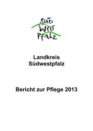 Landkreis Südwestpfalz Bericht zur Pflege 2013 - Herbstwind Online