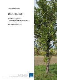 Umweltbericht - Gemeinde Hilzingen