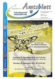 Amtsblatt 50/2013 - Verbandsgemeinde Hochspeyer