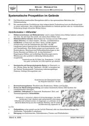 B7 Systematische Prospektion im Gelaende.pdf - VÖH