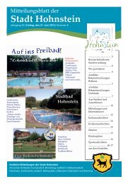 Ausgabe Juni 2013 - Hohnstein