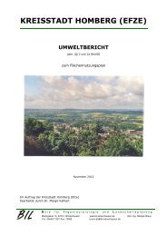 Umweltbericht FNP Homberg - November 2013 - Homberg (Efze)