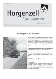 Ausgabe vom 1. November 2013 - Horgenzell