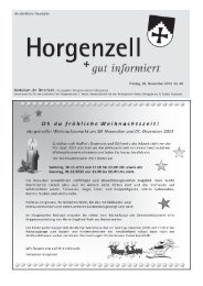 Ausgabe vom 29. November 2013 - Horgenzell
