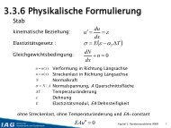 FE physikalische Formulierung - IAG