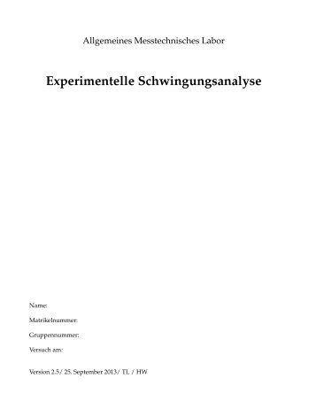 Experimentelle Schwingungsanalyse - IDS