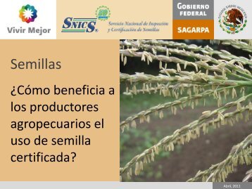 Semillas - snics - Sagarpa