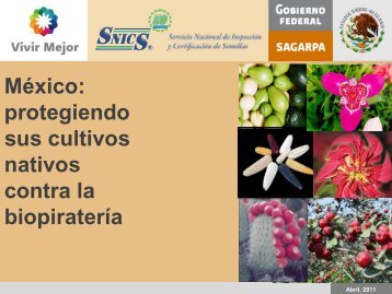 Biopirateria - snics - Sagarpa