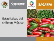 Estadísticas del chile en México - InfoRural.com.mx