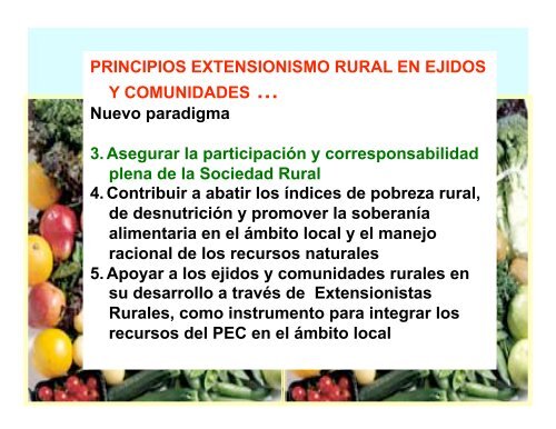 extensionismo rural en ejidos y comunidades - InfoRural.com.mx