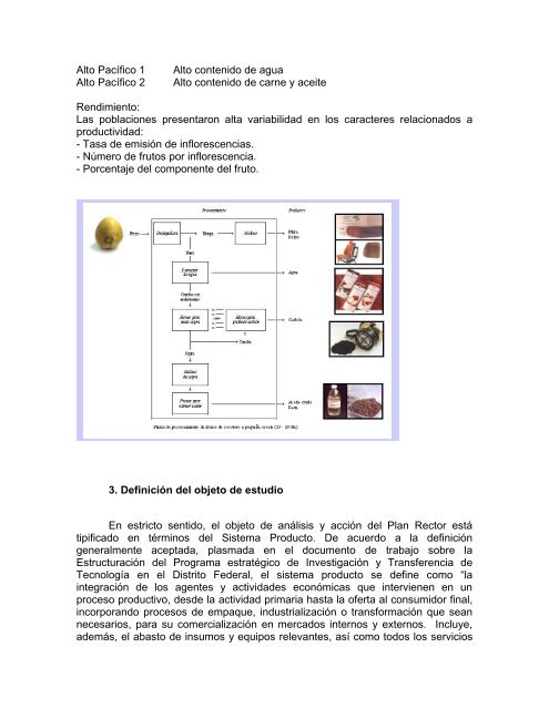 plan rector sistema producto nacional palma de ... - InfoRural.com.mx