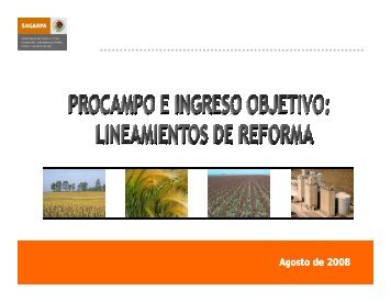 Nuevo PROCAMPO e Ingreso Objetivo - Consejo Mexicano para el ...