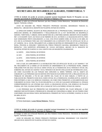 dof-sedatu-240613 - InfoRural.com.mx