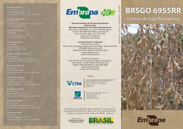 BRS 6955RR - Infoteca-e - Embrapa