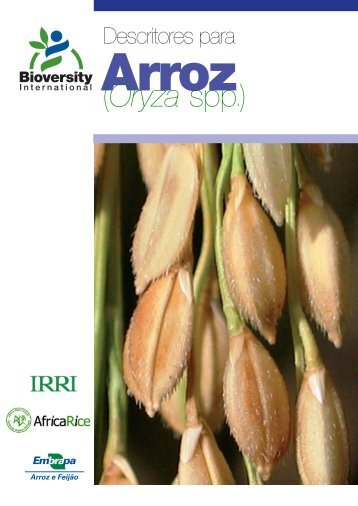 Descritores para arroz silvestre e cultivado (Oryza ... - ECPGR - cgiar