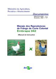 Documentos 79 - Infoteca-e - Embrapa