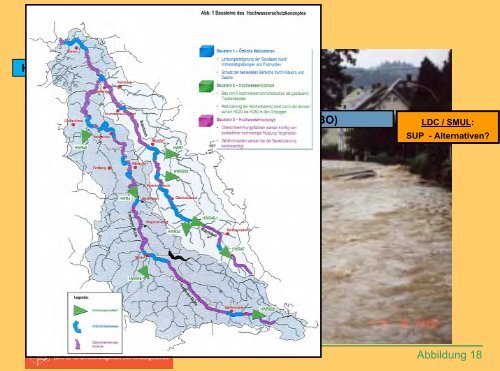 Probleme und Lösungsansätze aus Sicht des Naturschutzes