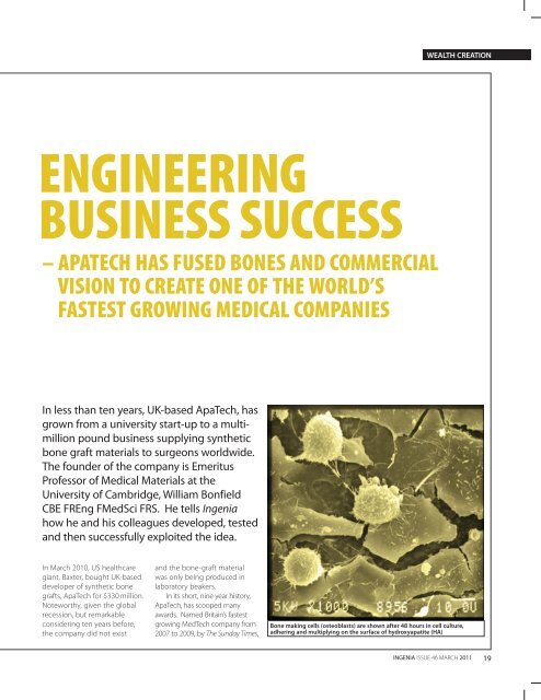 ApaTech and the development of bone graft substitutes