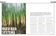 reed bed systems - Ingenia