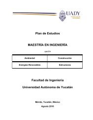 Plan de Estudios - Facultad de IngenierÃ­a - Universidad AutÃ³noma ...