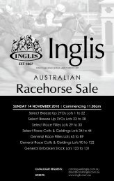 Download the complete catalogue (PDF) - Inglis