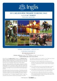 2013 Melbourne PreMier YeArlinG SAle - Inglis