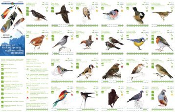 Euskadiko hegaztien gida GuÃ­a de las aves de Euskadi