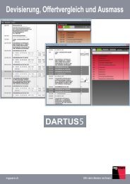 Flyer Dartus5