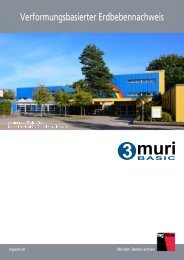 Flyer 3muri BASIC