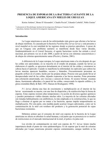 PRESENCIA DE ESPORAS DE LA BACTERIA CAUSANTE DE ... - Inia