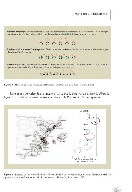 Manual para la comercializaciÃ³n y producciÃ³n de semillas - Inia