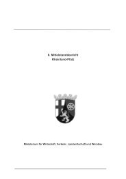 8. Mittelstandsbericht Rheinland-Pfalz - Inmit