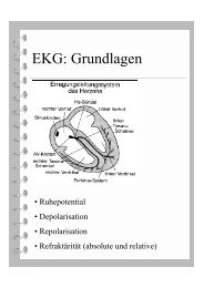 EKG: Grundlagen - Innere-Bamberg