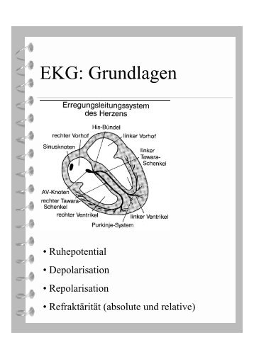 EKG: Grundlagen - Innere-Bamberg