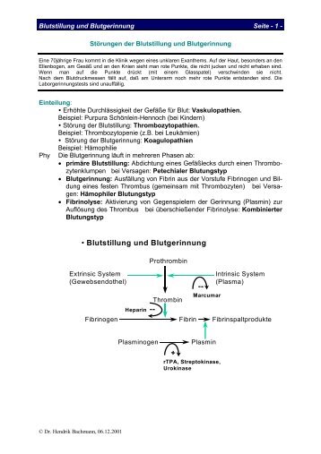 â¢ Blutstillung und Blutgerinnung + -- -- - Innere-Bamberg