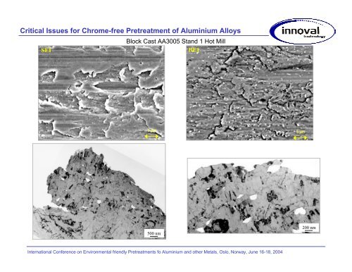 Critical Issues for Chrome-free Pretreatment of Aluminium Alloys