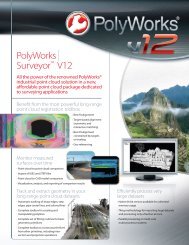 PolyWorks Surveyor V12